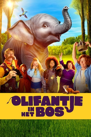 Olifantje in het bos