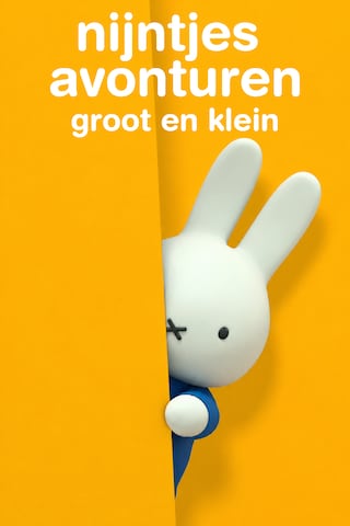 Nijntjes Avonturen Groot en Klein