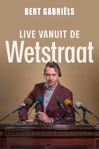 Bert Gabriëls - Live vanuit de Wetstraat
